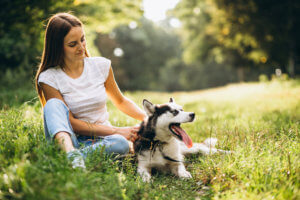 Gardens and flowers with your pets!