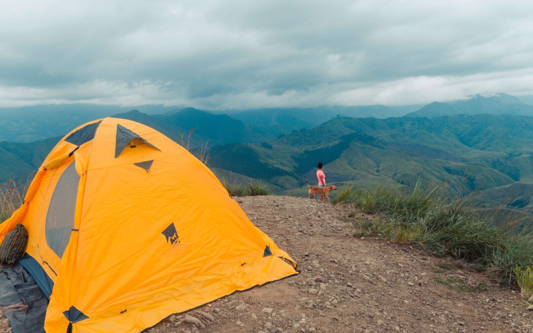 Camping With Your Dog