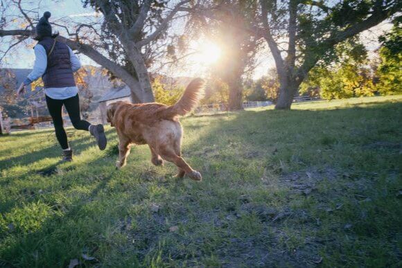 Activities For You and Your Pup While Practicing Social Distancing