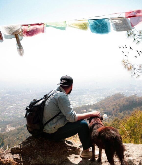7 Things to Consider Before Taking Your Dog Hiking