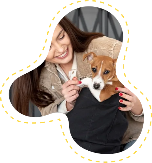 Target Areas for Dog Daycare Target Areas for Dog Daycare