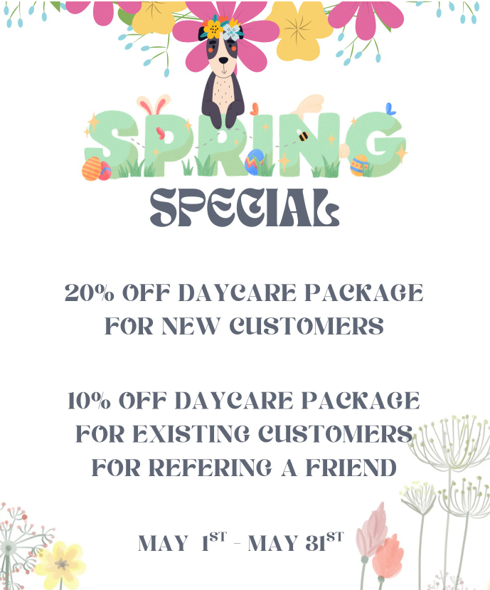 Spring Special
